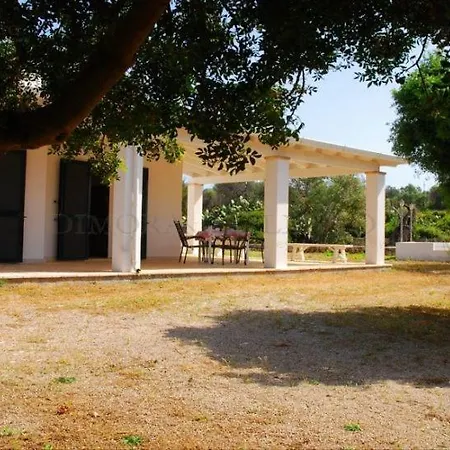 Casa Dell'albero